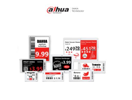 Maleta Dahua Technology DHI-ESL Sample-A1