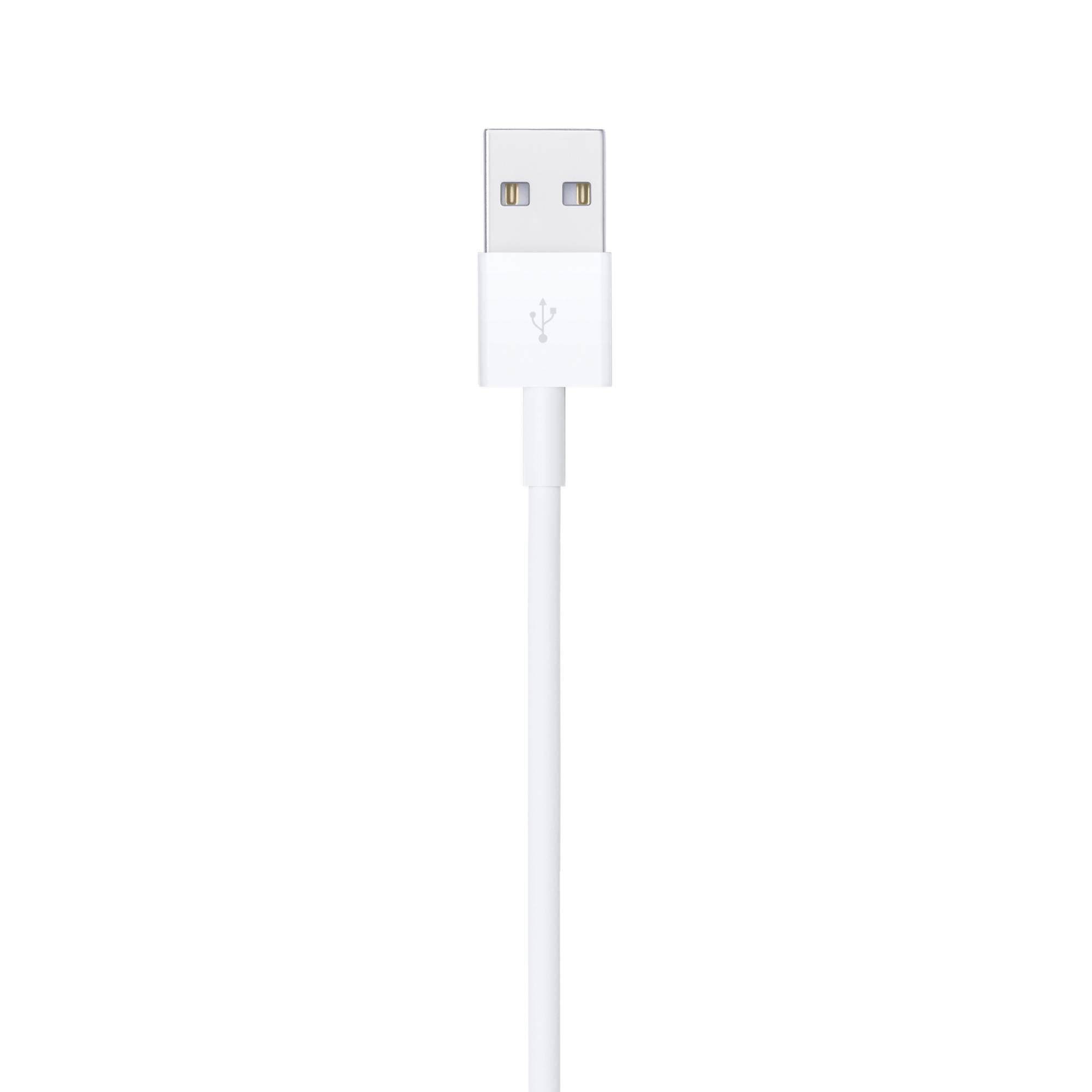 Cables Lightning APPLE MUQW3AM/A