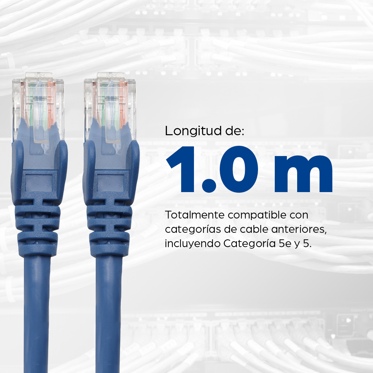 Cable de Red Cat 6 INTELLINET 342575