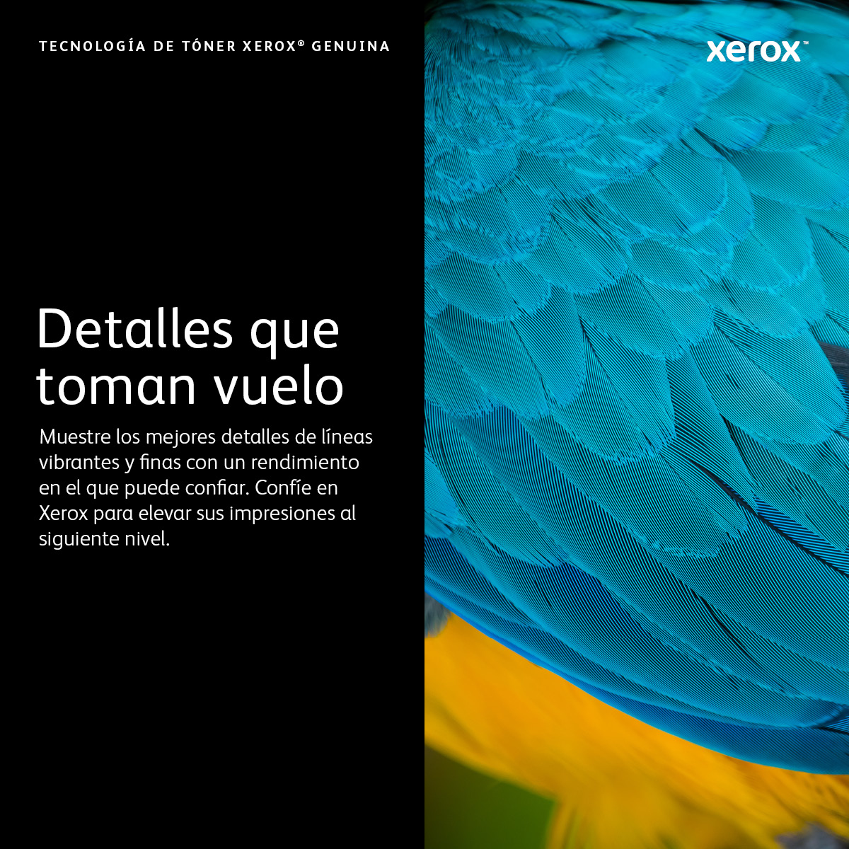 Tóner XEROX VersaLink B7025/7030/7035