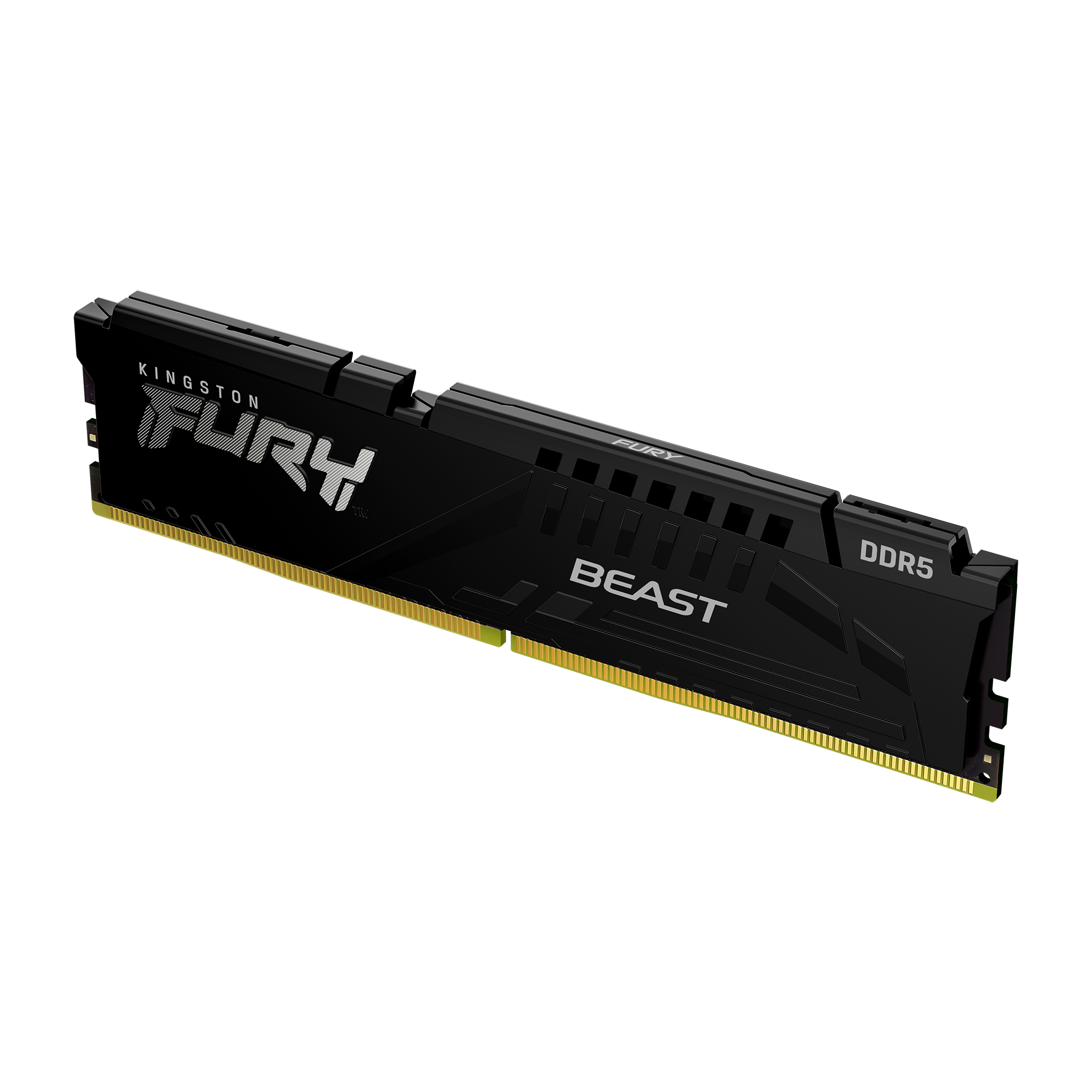 Memoria  Kingston Technology FURY BEAST