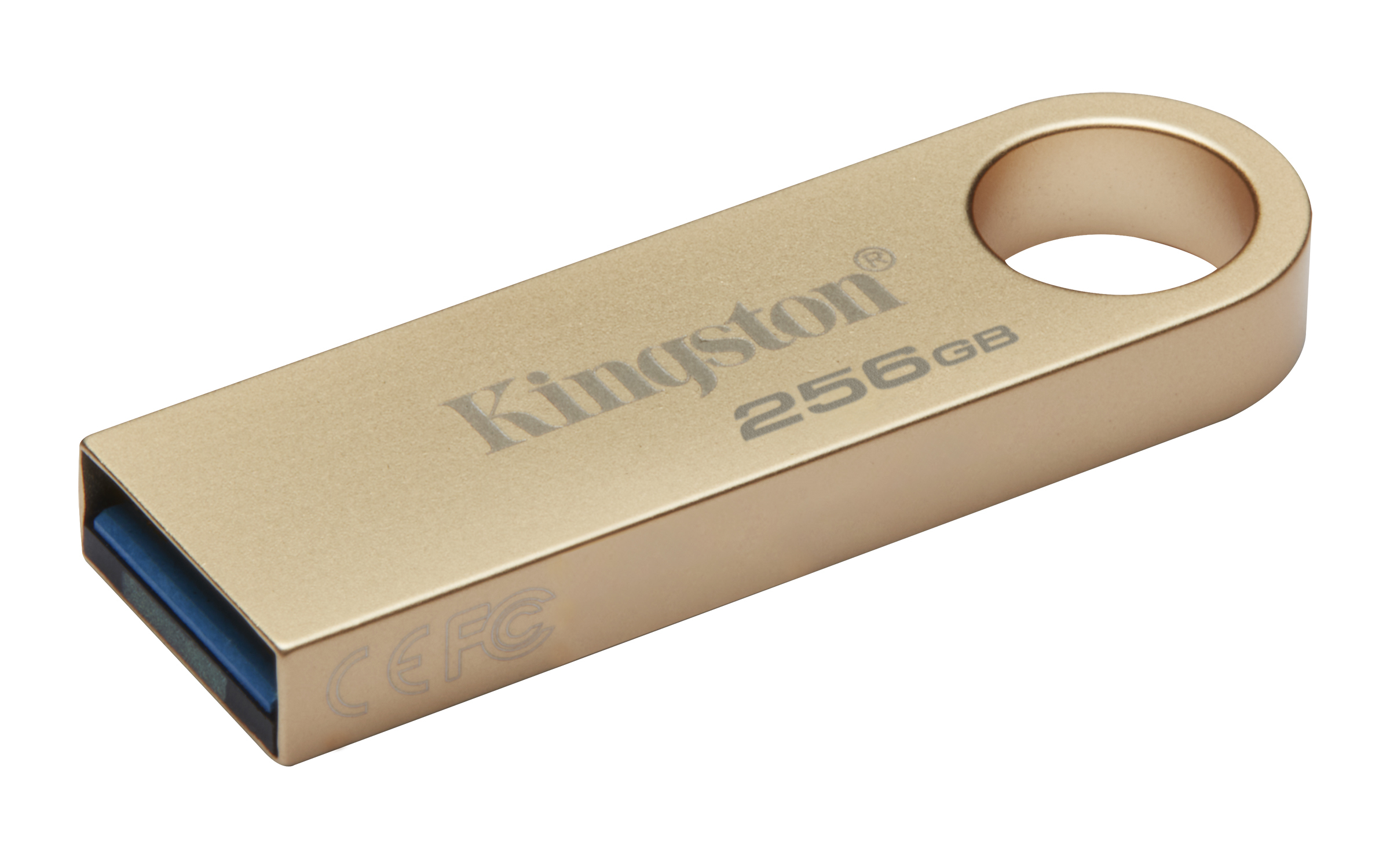 Memoria USB Kingston Technology DATATRAVELER SE9 G3