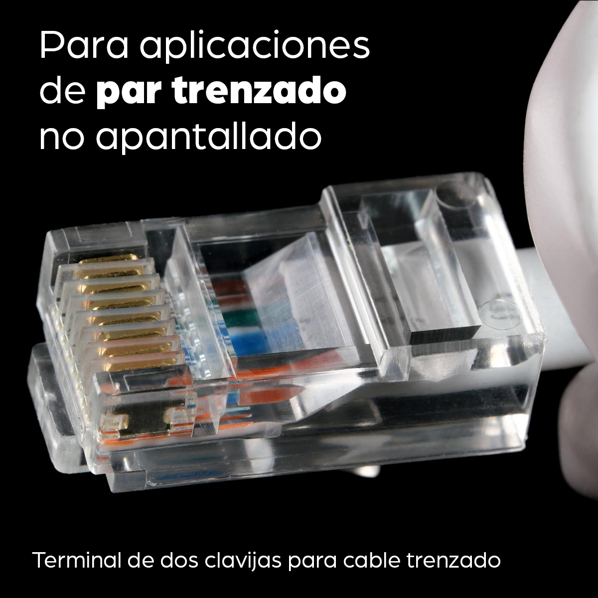 Plugs de Red CAT5E  INTELLINET 790055