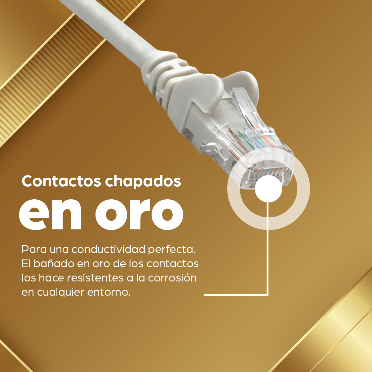 Cable de Red Cat6 INTELLINET 340373